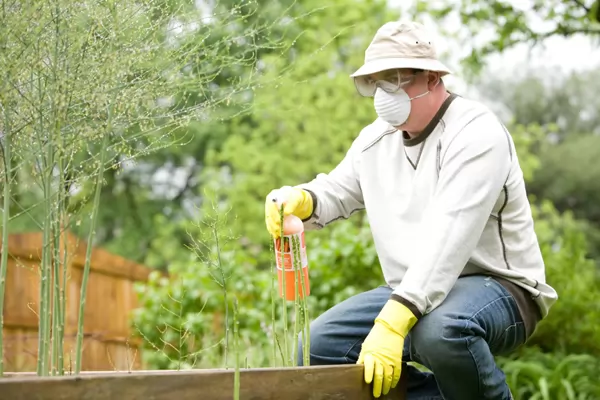 Is Organic the Best Type of Buffalo Grass Fertiliser?