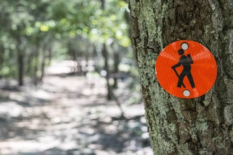 9 Budget-Friendly Tips You Need to Know When Going on a Hike