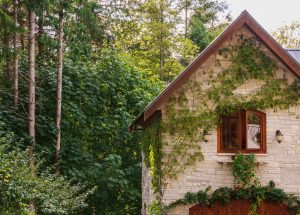 Reasons why you should start decluttering your house