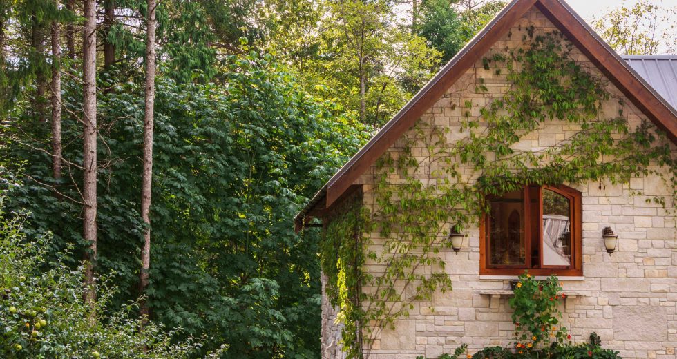 Reasons why you should start decluttering your house